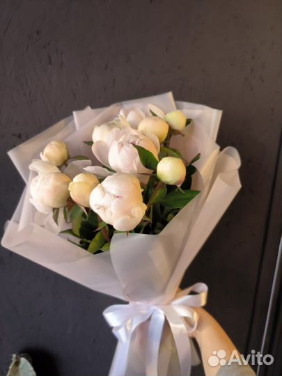 Пионы белые