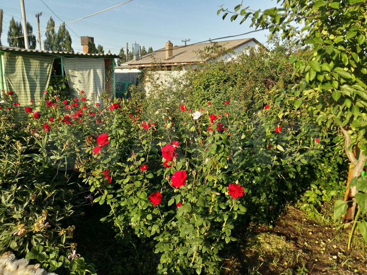 Комната 18 м², 1/1 эт.