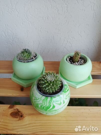 Кашпо для цветов.Цветы