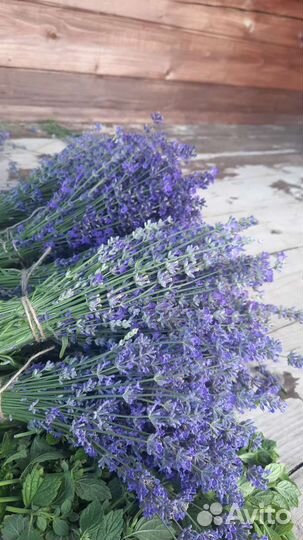 Лаванда в букете