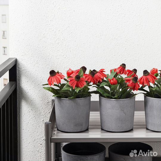 Коллекционное кашпо Бойсенбер Икеа