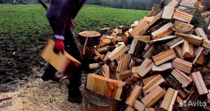 Крупнонаколотые дрова