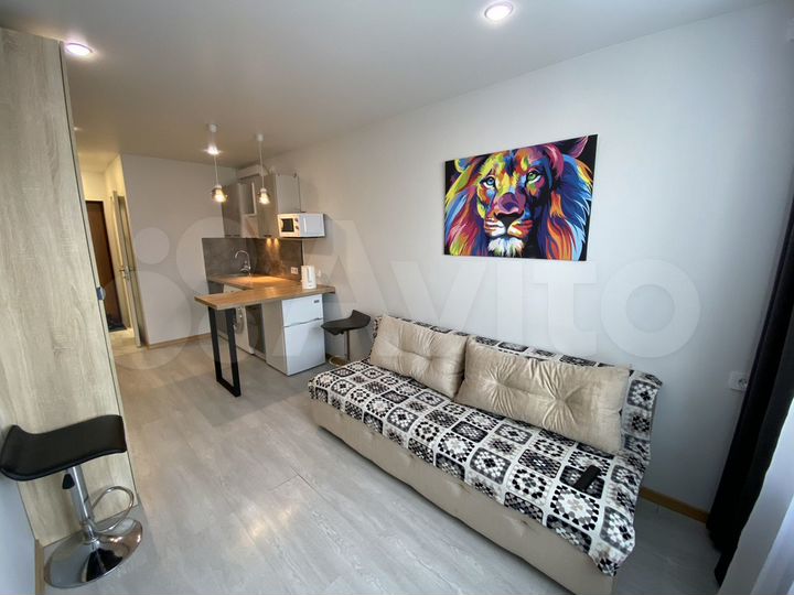 Квартира-студия, 24 м², 2/10 эт.