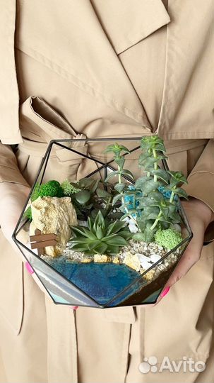 Флорариум подарок