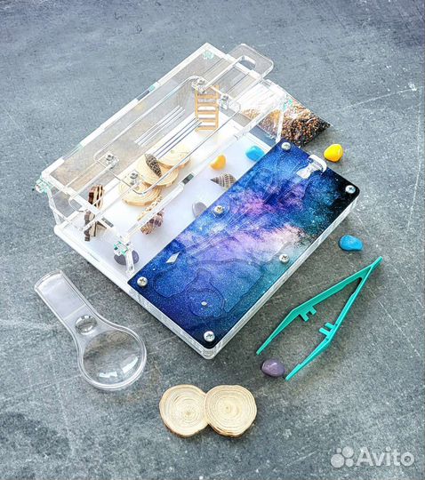 Муравьиная ферма новая