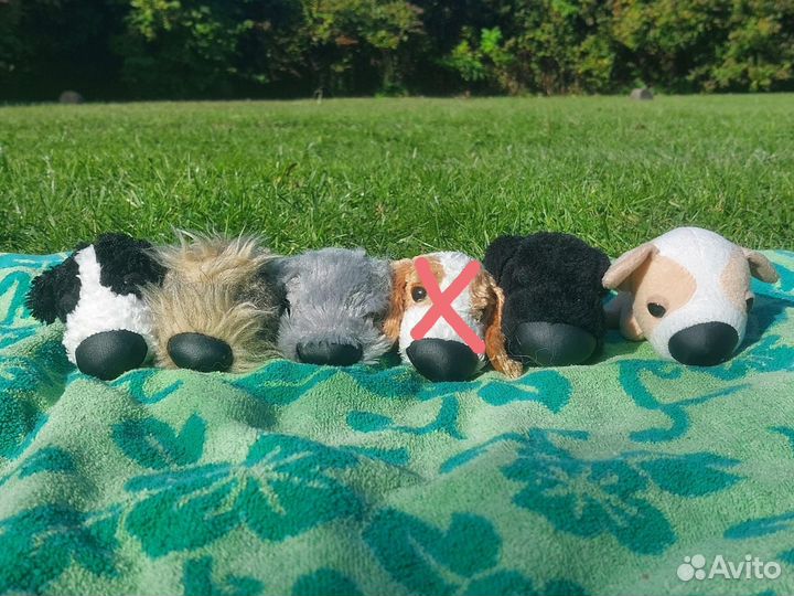 The dog collection