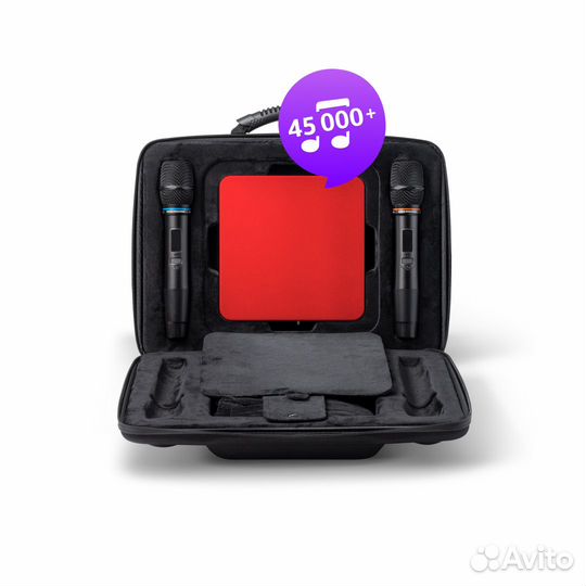 Караоке EvoBox Plus Ruby с микрофонами + EvoCase