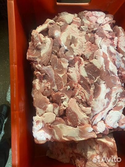 Тримминг свиной, мясная обрезь, мясо для котлет