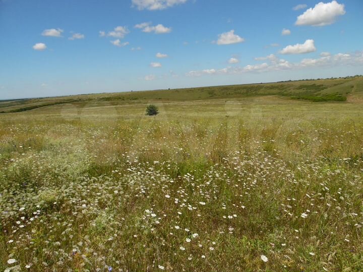 Участок 3,75 га (СНТ, ДНП)