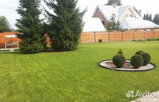 Рулонный газон /продажа/укладка
