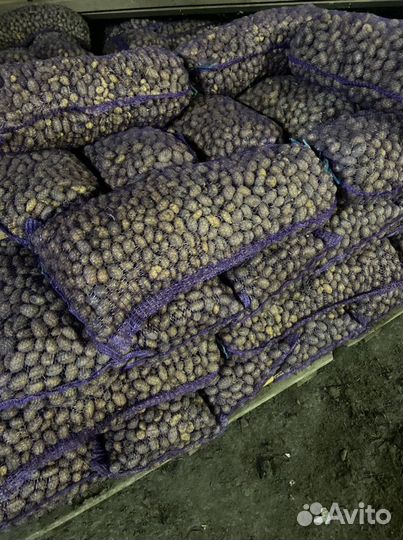 Продаётся картофель на корм скоту