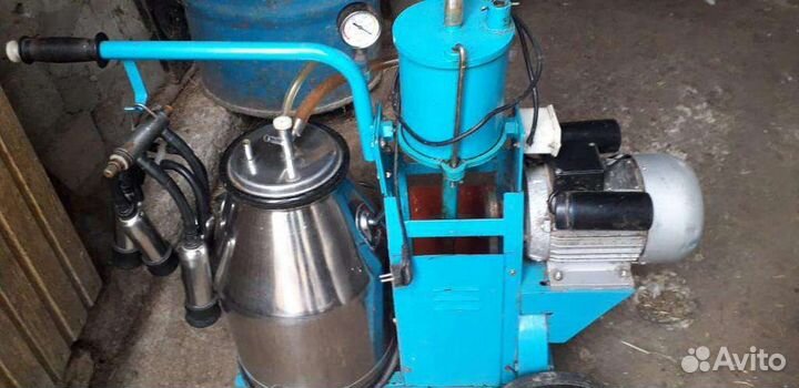 Доильный аппарат для коров бу