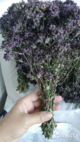 Душица сушеная