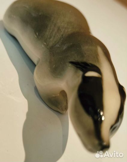 Крадущийся барсук лфз