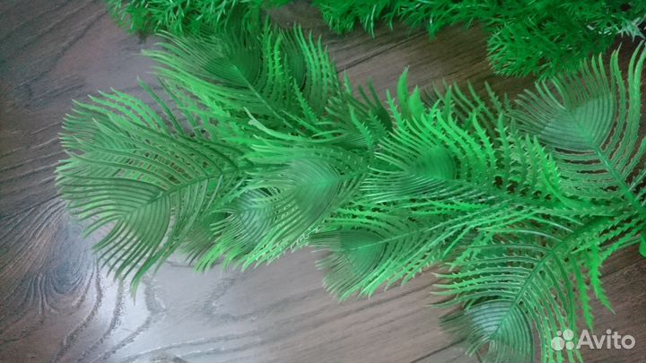 Растения для аквариума