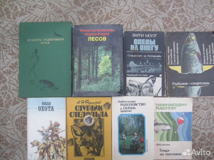 А. Вестбрук. О. Ратти. Айкидо и динамическая сфера