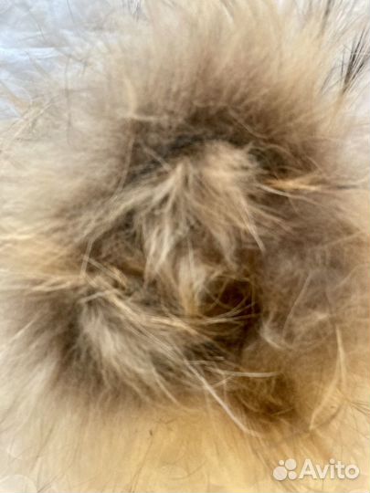 Мех натуральный кусочки опушка на капюшон