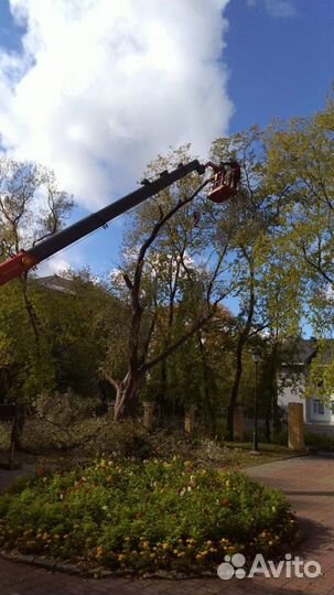 Спил/кронирование деревьев