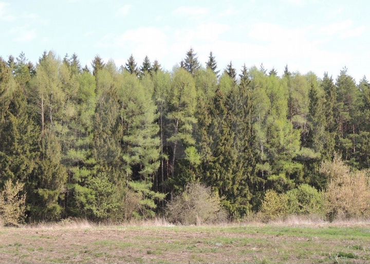 Участок 12 сот. (ИЖС)