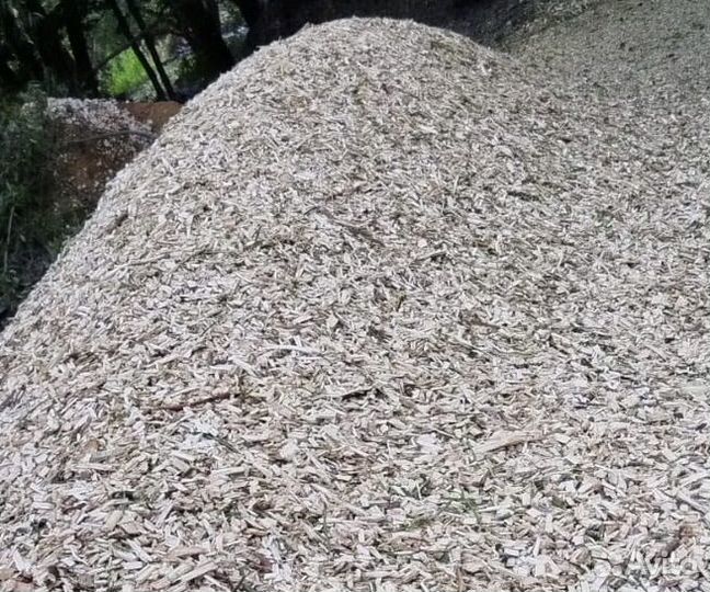 Щепа лиственницы