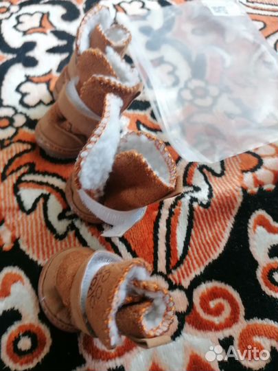 Обувь для собак мелких пород