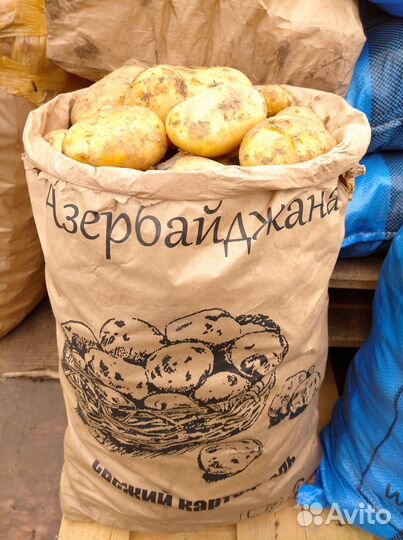 Картофель оптом продажа