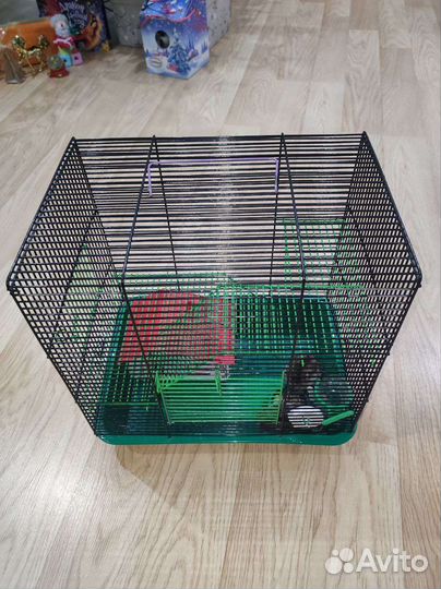 Джунгарский хомяк с клеткой