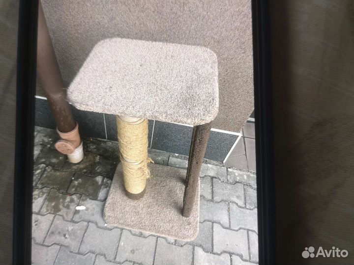 Когтеточка