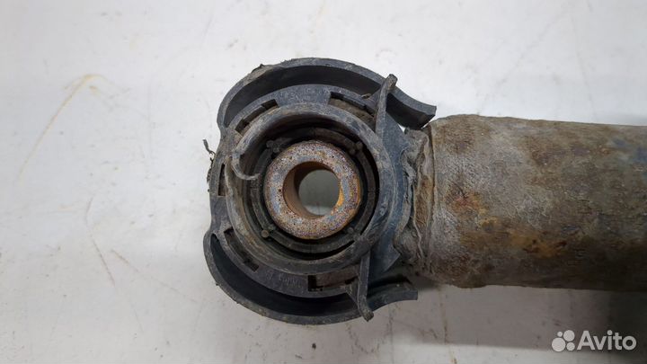 Амортизатор подвески левый задний Audi A4 (B8)