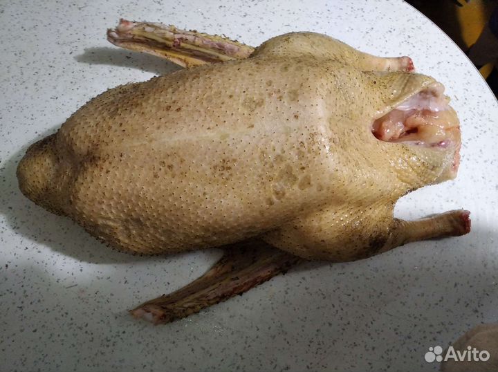 Мясо гуся, утки