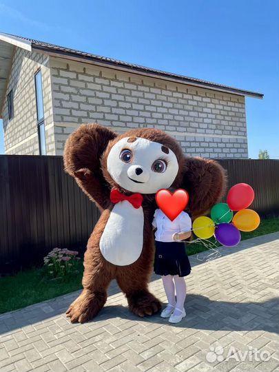 Белый мишка и Супер Жорик, Авторская программа