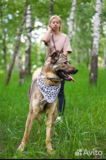 Забери меня