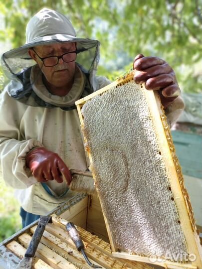 Мёд, мед, мёд с личной пасеки