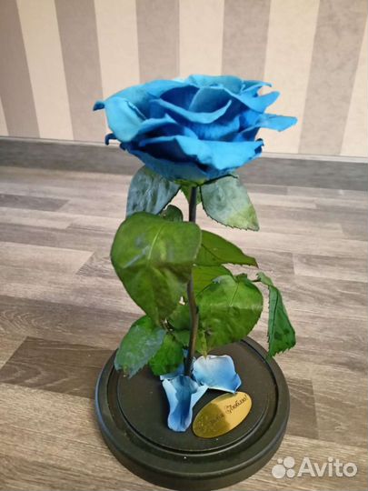 Роза в колбе