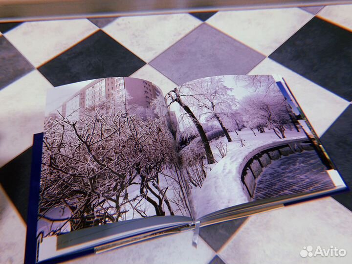 Книга Оренбург в XXI веке, Фотоальбом