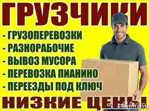 Грузчики и автомобили в Муроме