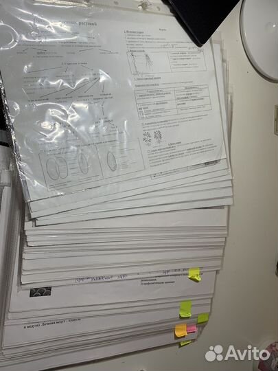 Конспекты по биологии для подготовки к огэ/егэ