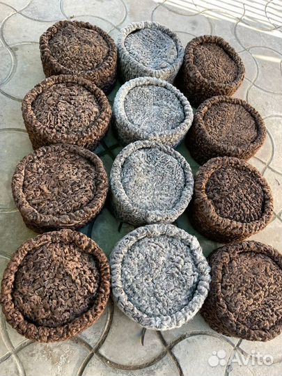 Кубанка казачья каракулевая