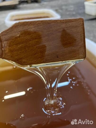 Свежий мёд цветочны Й опт