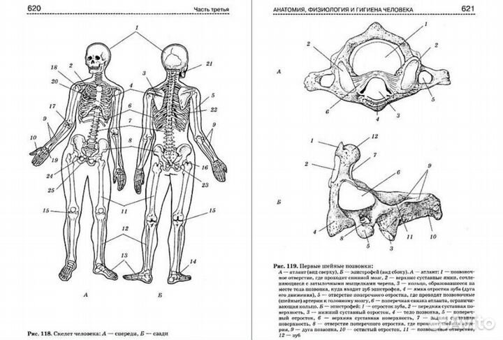 Справочник по биологии торг