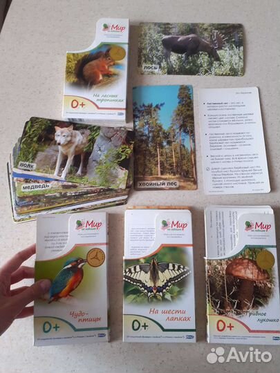 Обучающий материал 0-5 лет Игровой скотч