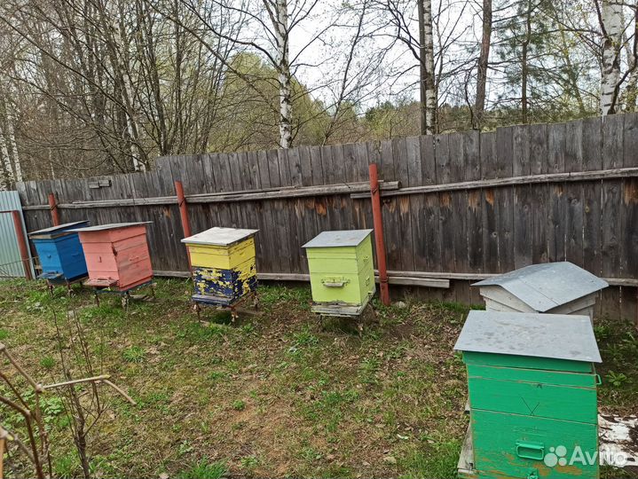 Ульи для пчел деревянные