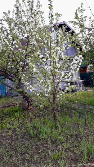 Участок 6 сот. (СНТ, ДНП)