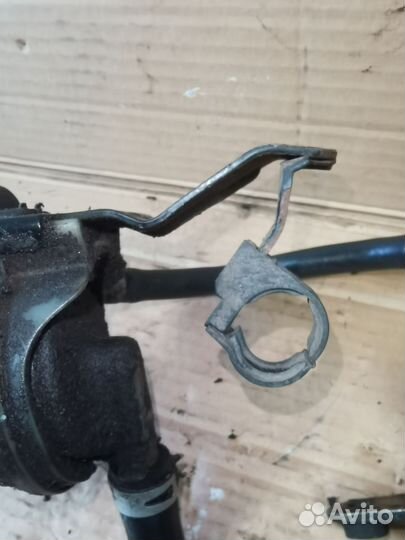 Бачек Гур Фав Вита