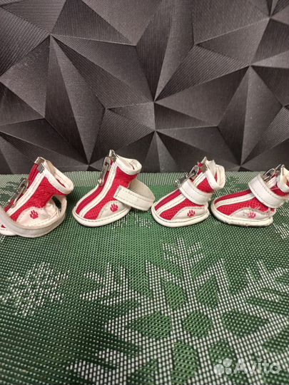 Ботинки для маленьких собак