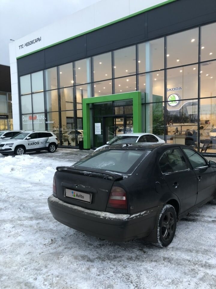 Skoda Octavia: фото владельца