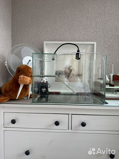 Аквариум для красноухой черепахи