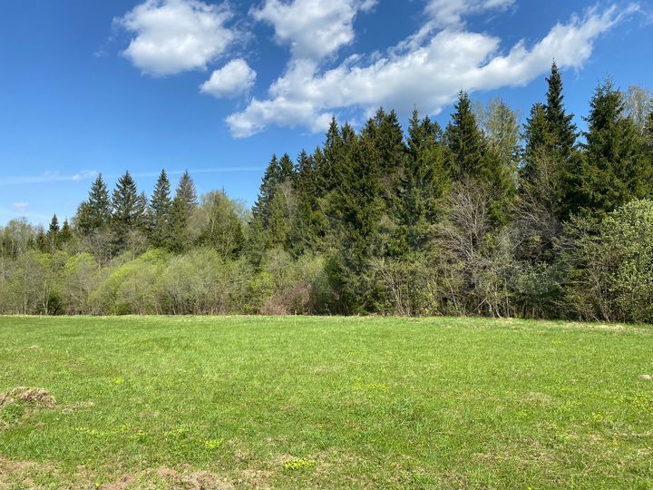 Участок 7,3 сот. (ИЖС)