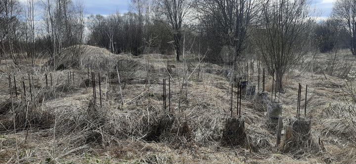 Участок 10 сот. (СНТ, ДНП)