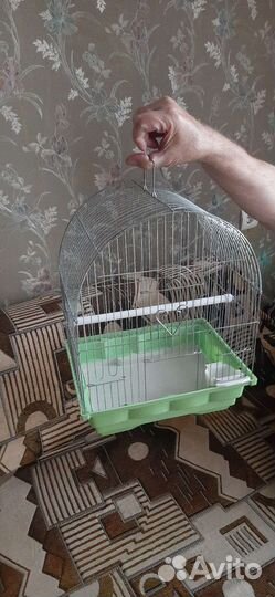 Клетки для попугаев и крыс разные